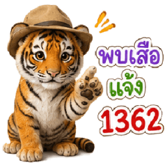 Little Tiger Forest & Safety Guardian