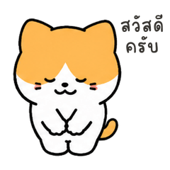 Tarooo Office Cat
