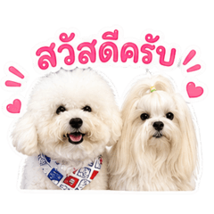 Aston&Khemtis Ver.2