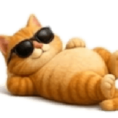 Orange Cat and Friend 004