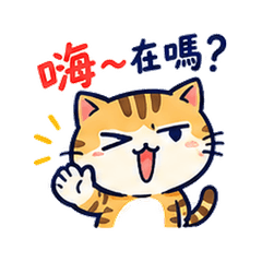 你這操作我看不懂 08.12 X14