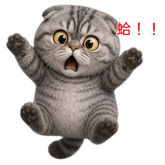 Folded Gray Tabby Cat Cutie(TWN)