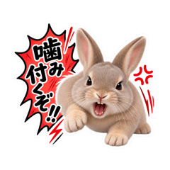 mayu_20260812120818