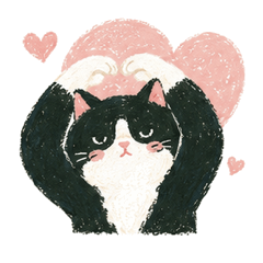 BlackAndWhiteCatHappy