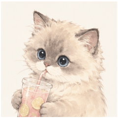 QQFelisCat