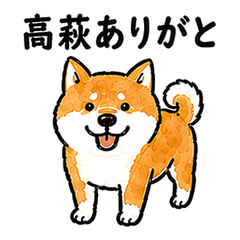 Takahagi Dialect Shiba Inu