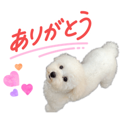 mayu_20260812212910