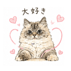 MeowMaru_20260810183259