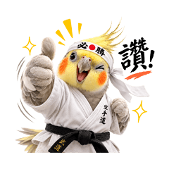 Cockatiel Cheer Squad