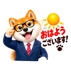 Shiba Inu Boss at Work