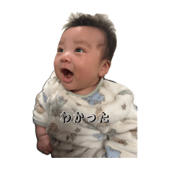 y_20260812204849