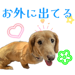 ruu_20260813002045
