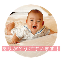 kt333333