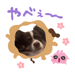 COCO_20260812223931