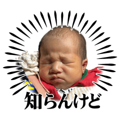 yuka_20260812232159