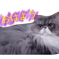 akira_20260812194342
