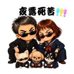 nori_20260812221414