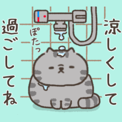 ☆とろけるネコの夏☆シルバータビー