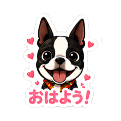miitam_20260812205907