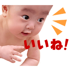 TAKA_20260812224627