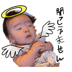 apdll_20260812220153