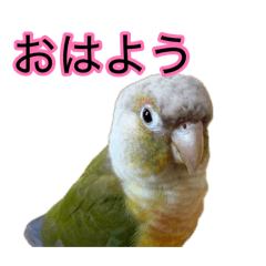 marimari321_20260812224739