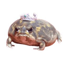 Frog Pamper Moony Plus_20260812133052
