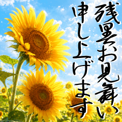 ElegantLateSummer GreetingBeautifulJapan