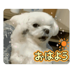 boku_20260813123549