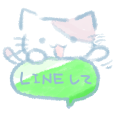 Light blue cat*everyday