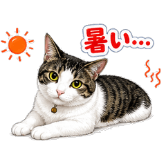 A-chan, the Calico Cat (Summer)