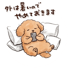 Squishy Toy Poodle-Summer Greetings