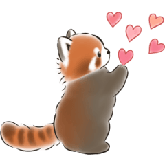 Cute Red Panda Greetings (TW)