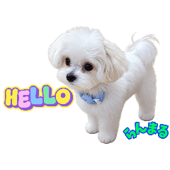 yuka_20260812202248