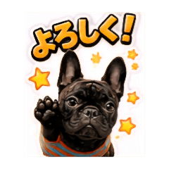 KOROKORO_20260812194046