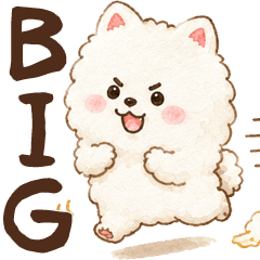 [BIG] 蓬鬆博美日常問候