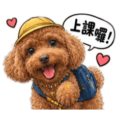 酷奇上學去