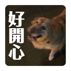 是咪吉!!!!
