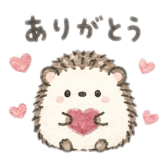 Cute & Fluffy Mochi Hedgehog  Part 1
