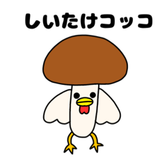 KAka_20260812212418