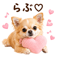 DOG  GOOD  Sticker313