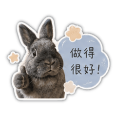 小鰻頭