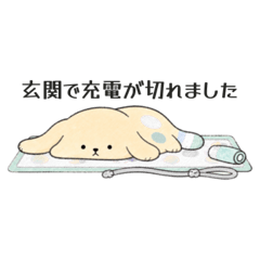 PIKAPI_20260812224628
