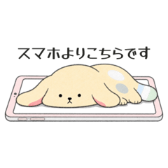 PIKAPI_20260812230113