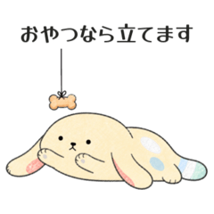 PIKAPI_20260812231254
