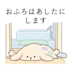 PIKAPI_20260812231947
