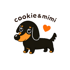 Lovely Dachshund Days