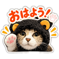 momo_20260813003939