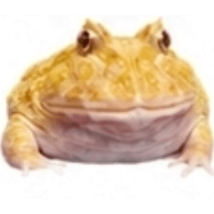 KOROKORO_20260813002810