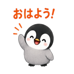 nori_20260813010443